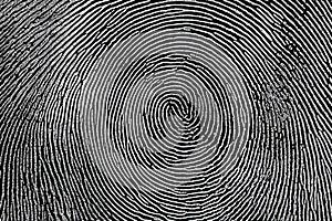 Seamless Fingerprint Security Background on Square Shape