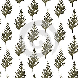 Seamless fit evergreen tree decoration background. Seasonal pattern with green leaves for winter holidys: Christmas, New Year art