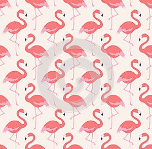 Seamless flamingo birds pattern