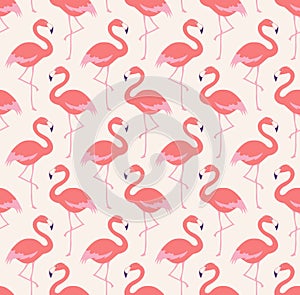 Seamless flamingo birds pattern photo