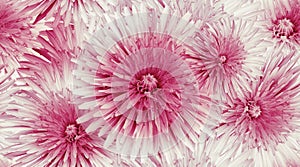 Seamless floral background. Flower dandelion and petals peonies. Close up