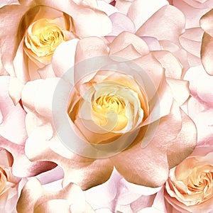 Seamless floral background. Flowers roses and petals. Close up