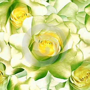 Seamless floral background. Flowers roses and petals. Close up