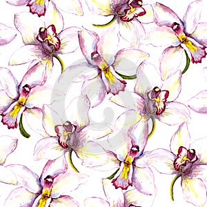 Seamless floral background with white orchid flower. Hand painted watercolor drawing