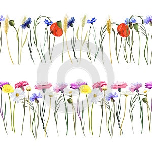 Seamless floral border of watercolor meadow plants (poppies, cornflowers, wheat and other wildflowers)