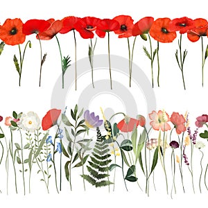 Seamless floral border of watercolor meadow plants, poppies and wildflowers