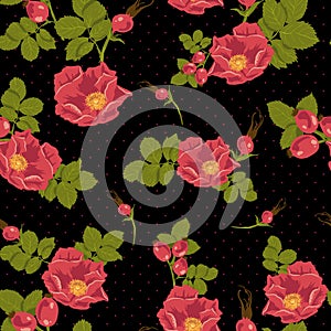 Seamless floral ornament with wild rose