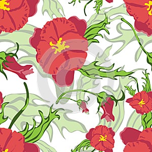 Seamless floral pattern