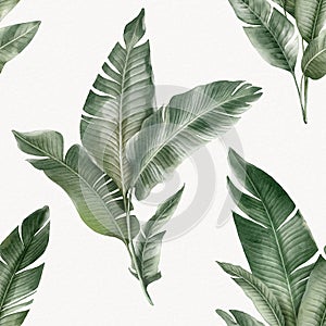 Seamless floral pattern with Banana palm leaves hand-drawn painted in watercolor style.
