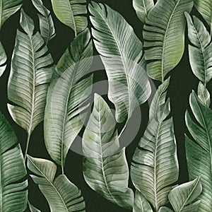 Seamless floral pattern with Banana palm leaves hand-drawn painted in watercolor style.