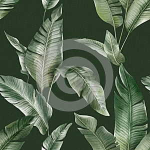 Seamless floral pattern with Banana palm leaves hand-drawn painted in watercolor style.