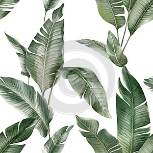 Seamless floral pattern with Banana palm leaves hand-drawn painted in watercolor style. T