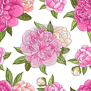 Seamless floral pattern with bouquets of pink peony flowers