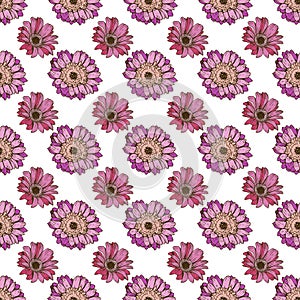 Seamless floral pattern. Cute daisy flowers on a white. Beautiful hand drawn vector background
