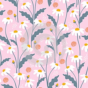 Seamless floral pattern with daisies. Vector daisy background
