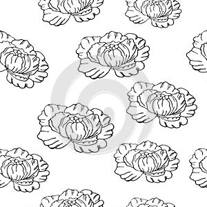 Seamless floral pattern. Decorative peonies, leaves and buds of hand drawing. For printing on fabric, paper, for scrapbooking,