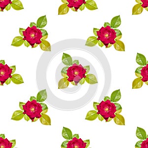 Seamless floral pattern with delicate red roses on a white background