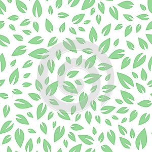 Seamless floral pattern. Green leaves texture on white background