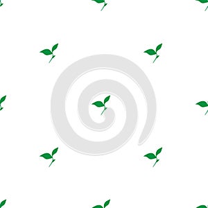 Seamless floral pattern. Green leaves texture on white background