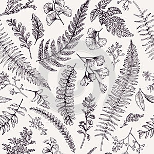 Seamless floral pattern with herbs and leaves. photo