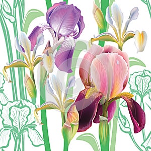 Seamless floral pattern with irises