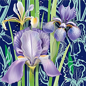 Seamless floral pattern with irises