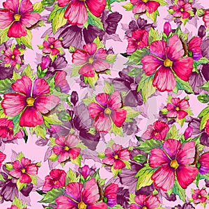 Seamless floral pattern made of red and purple malva flowers on pink background. Watercolor painting.