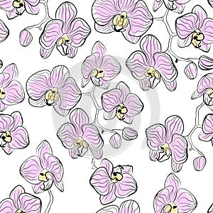 Seamless floral pattern orchids flowers phalaenopsis pattern white