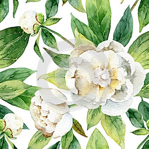 Seamless floral pattern with peonies