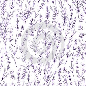 Seamless floral pattern with purple lavender. Botanical background, French violet flowers repeating print. Blossomed