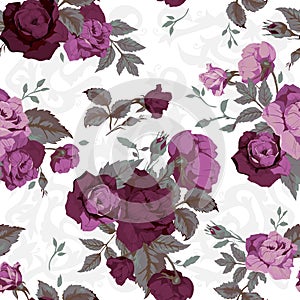 Seamless floral pattern with purple roses on white background, w