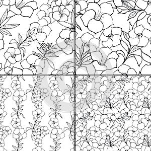 Seamless floral pattern set