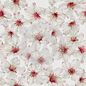 Seamless floral pattern with spring almond blossom hand-drawn painted in watercolor style.