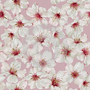 Seamless floral pattern with spring almond blossom hand-drawn painted in watercolor style.