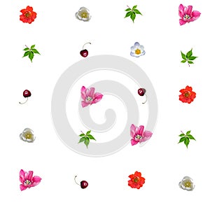 Seamless floral pattern with summer flowers and cherries