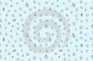 Seamless floral pattern of tiny spring forget-me-not flowers on blue background top view