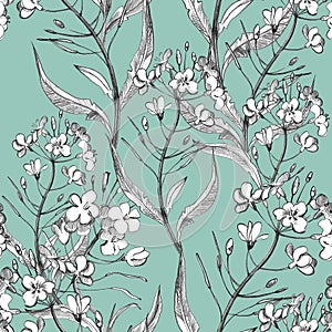 Seamless floral pattern in vintage style. Flowers, leaves and herbs. Botanical illustrations. photo
