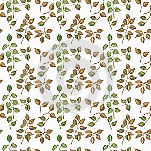 Seamless floral pattern with watercolor branches with leaves, hand drawn isolated on a white background