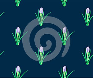 Seamless floral pattern with wild spring flower ornamental decorative background. Vector pattern. Print for textile, cloth, wallpa