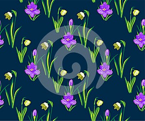 Seamless floral pattern with wild spring flower ornamental decorative background. Vector pattern. Print for textile, cloth, wallpa