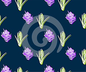 Seamless floral pattern with wild spring flower ornamental decorative background. Vector pattern. Print for textile, cloth, wallpa