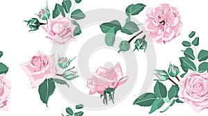 Seamless Floral Rose Pattern with Leaves.