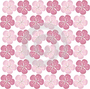 Seamless floral texture. Pink sakura flowers on white background. Vector
