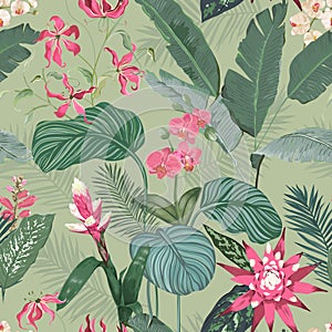 Seamless Floral Tropical Print with Exotic Flowers Guzmania Orchid Blossoms, Jungle Leaves on Green Background