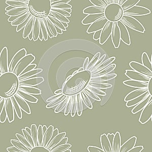 Seamless floral vector pattern, daisy flowers in minimal style background