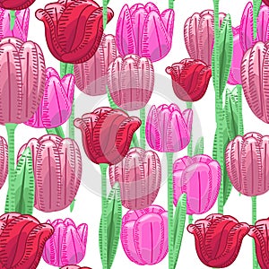 Seamless florals pattern background with red and pink cute tulip