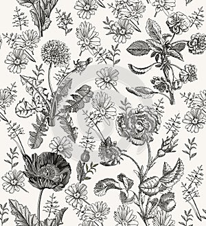 Seamless flowers Chamomile Roses Vintage background Drawing engraving Vector illustration