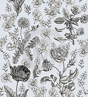 Seamless flowers Chamomile Roses Vintage background Drawing engraving Vector illustration