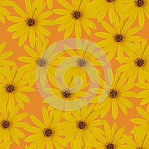 Seamless flowers pattern. Bright yellow or light orange flowers on a orange background. Top view, flat lay