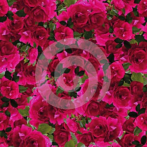 Seamless flowers pattern texture for backdrop and background